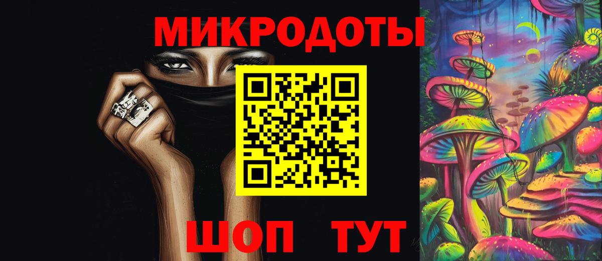 Красноярск  Псилоцибиновые грибы Psilocybe  Вход с VPN 